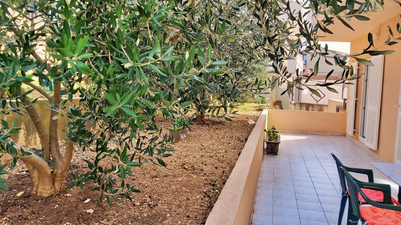 Apartments Mandalinic أوميس المظهر الخارجي الصورة